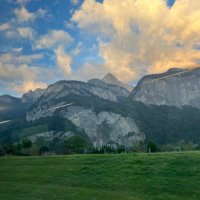 Mohammed Al Harbi MD. . محمدالحربي (@mohammedalras12) 's Twitter Profile