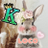 LOCOCO_LUNE