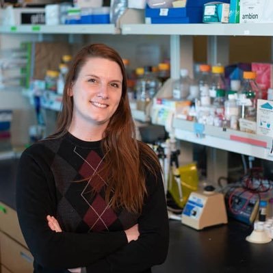 Amy Davis, PhD Profile