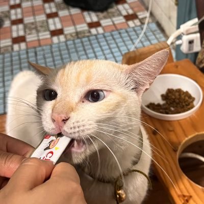 mafvvv's profile picture. I’ll never forget the day we started talking. 🔮