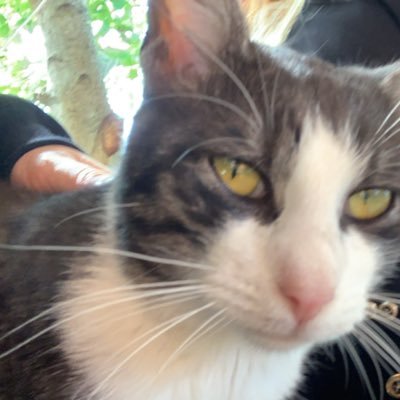 bursztyna's profile picture. 