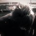 てかさ、 (@quxloi) Twitter profile photo てかさ、 (@quxloi) Twitter profile photo