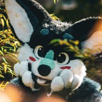 Ekko~ ๐พ๐๐ณ๏ธโ๐๐BFD, EF, FV? (@fluffsqueaker) 's Twitter Profile Photo Ekko~ ๐พ๐๐ณ๏ธโ๐๐BFD, EF, FV? (@fluffsqueaker) 's Twitter Profile Photo