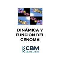 Dpto. Dinámica y Función del Genoma CBM (@genome_cbm) 's Twitter Profile Photo Dpto. Dinámica y Función del Genoma CBM (@genome_cbm) 's Twitter Profile Photo