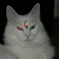 Nur (@onlynrsh) 's Twitter Profile