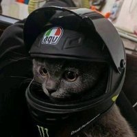 Lukλ! (@_lukit4) 's Twitter Profile