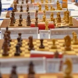 chessdiscovery's profile picture. 