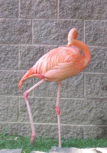 lee65536's profile picture. Note to self:  put something witty here.