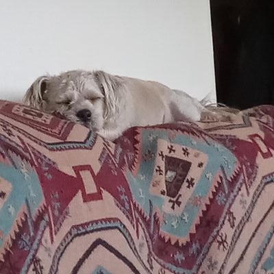 blueroller70732's profile picture. Ex trucker lousy guitarist
Wishing I was a better speller
generally state the obvious