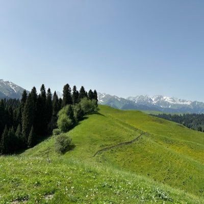 Vincent35280021's profile picture. vincentchen.bit