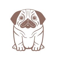 DC ๐ (@dirucorlo) 's Twitter Profile
