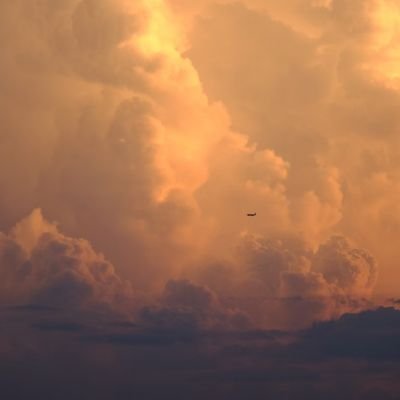 OoOQoQPoP's profile picture. 