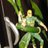 fierykillrock's profile image