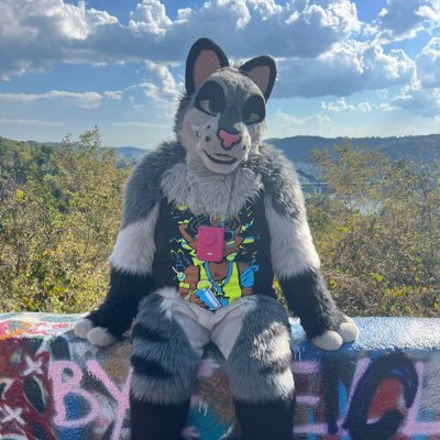 24 | SFW but 18+ account| Writing Student | Fursuit Maker. 🏳️⚧️He/Him 🏳️⚧️ 💕@ales_abi96 💕 multisuiter