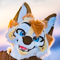 Ady (@aadyfox) 's Twitter Profile