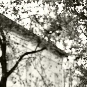 14ws's profile picture. 