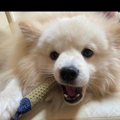 St3f_007's profile picture. 