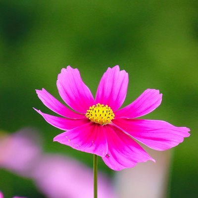 TaraHarris20619's profile picture. 02' 大学生! 絡み大歓迎です!♪♪ 相互フォローしてます✋