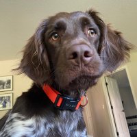 Mike (@mikefromnature) 's Twitter Profile