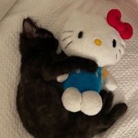 ㅎㅎ ♥️ (@balletmilk_) 's Twitter Profile