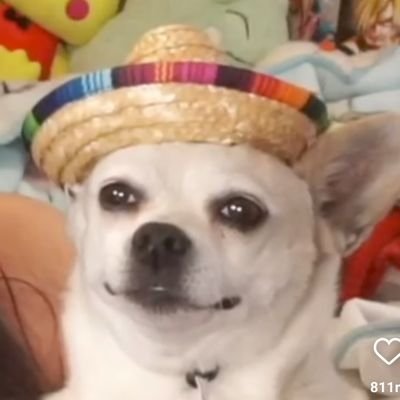 alt 
https://t.co/LrZ0zZ510U