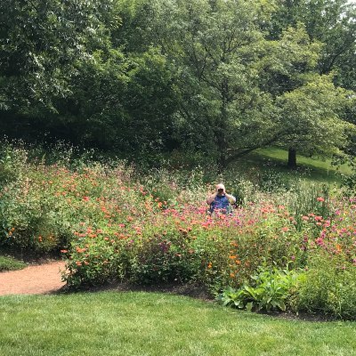 Naturalist and Writer. I help readers enjoy, learn about, and come to love nature.