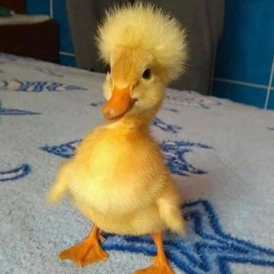 kasiek19791202's profile picture. https://t.co/VUw8uFbWC0