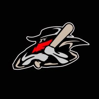 Kansas Renegades 16u Gold- Fowler (@ksrenegades_jf) 's Twitter Profile Photo Kansas Renegades 16u Gold- Fowler (@ksrenegades_jf) 's Twitter Profile Photo