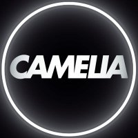 Camellia (@camellia2929) 's Twitter Profile Photo Camellia (@camellia2929) 's Twitter Profile Photo