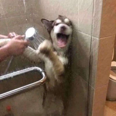 Rose10843664's profile picture. 