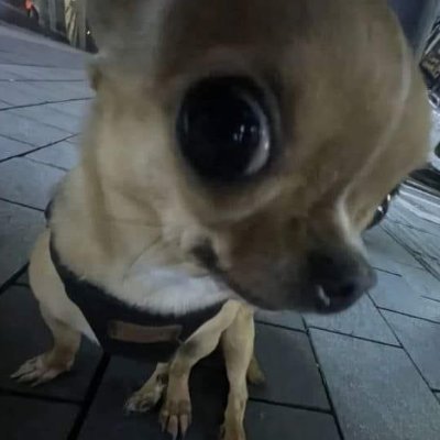 AmirTsai86's profile picture. 