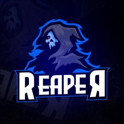 LH_ReapeR's profile picture. 🇺🇸 Owner/Founder of @LastHurrahGG | Duo @LH_Droze