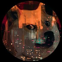 CiskeDoge π§‘β‘π (@ciske53856449) 's Twitter Profile