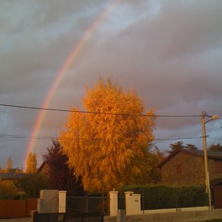 arassabel's profile picture. 