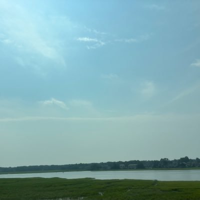 flowmingo21's profile picture. Domingo H