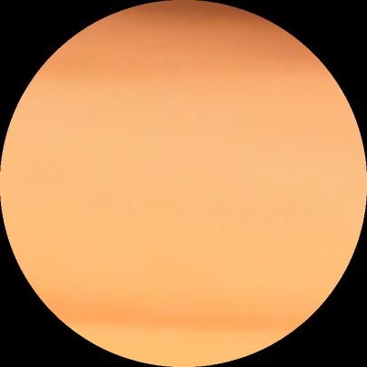 mavic259619's profile picture. 