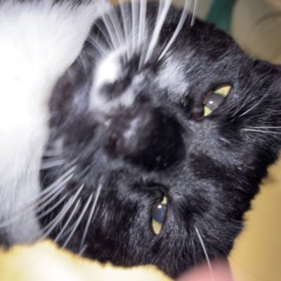AndrewLyle75198's profile picture. 