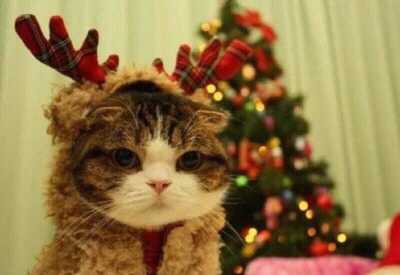 heeyasy1204's profile picture. 딴나라 무지 싫어함. 올 비정규직 철폐! 정리해고!는 죽음