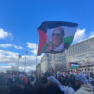 mohamed_sb31747's profile picture. 