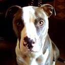 Gene Dickerson - @ggdickerson - Twitter