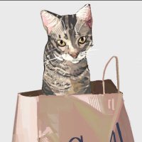 Cora (@smudgesoot) 's Twitter Profile Photo Cora (@smudgesoot) 's Twitter Profile Photo