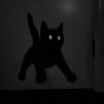 Luck follows me but Im faster 😼 || ⎅⍜⋏⏁ ⌰⟒⏁ ⏁⊑⟒⋔ ⎎⟟⋏⎅ ⋔⟒ || any pronoun 🕴️ || I believe in bumtrio supremacy
