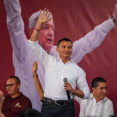 Diputado Federal con licencia #3, Ex Dip Local, Presidente CEM Morena Benito Juárez Q. Roo., Coordinador Distrito 1 Fed. Yucatán, Lic. Derecho, Comerciante.