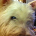 Ellen Wiggins - @EllenWiggins - Twitter