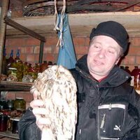 ahoycik (@ahoycik) 's Twitter Profile