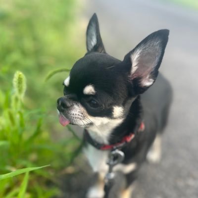 tsxxxxxst's profile picture. 