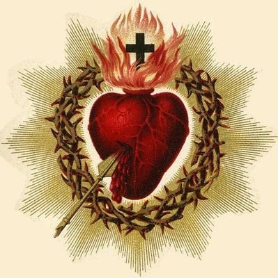 MFScannell's profile picture. Catholic.  Iowa is and will always be a Hawkeye State.