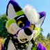 rafagreenfur.bsky.social (@rafagreenfur) Twitter profile photo rafagreenfur.bsky.social (@rafagreenfur) Twitter profile photo
