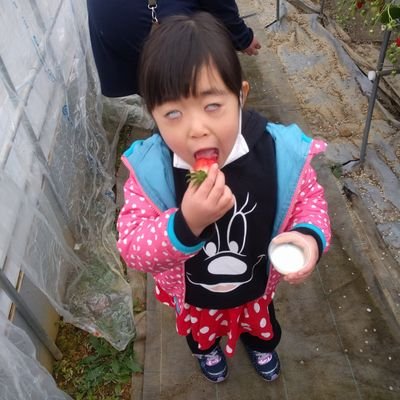 SPdJP0SI543635's profile picture. 見る専ですが宜しくお願いします🙇