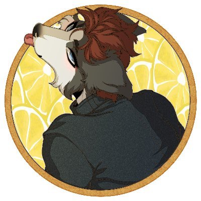 Collieing's profile picture. Just a border collie on the internet collie'ing around